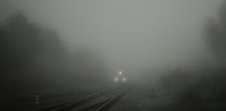 Kiedy włączać CO2 w akwarium?