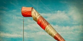 Jakie słodycze lubią Polacy? Jakie słodycze lubią Polacy?