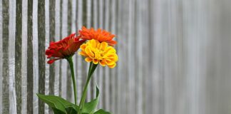 Co zrobić gdy sąsiad uszkodził ogrodzenie? Co zrobić gdy sąsiad uszkodził ogrodzenie?