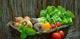 Jakie warzywa warto mieć w ogrodzie?