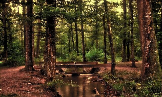 Od jakiego wzrostu można jeździć na przednim siedzeniu? Od jakiego wzrostu można jeździć na przednim siedzeniu?