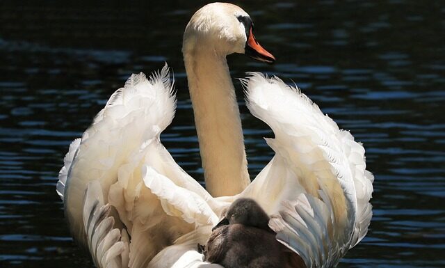 Czy fotelik po wypadku bez dziecka? Czy fotelik po wypadku bez dziecka?