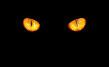 Czym się różni barwa ciepła od zimnej?