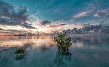 Jak można ustawić narożnik w salonie?