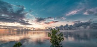 Jak wnieść narożnik do mieszkania? Jak wnieść narożnik do mieszkania?