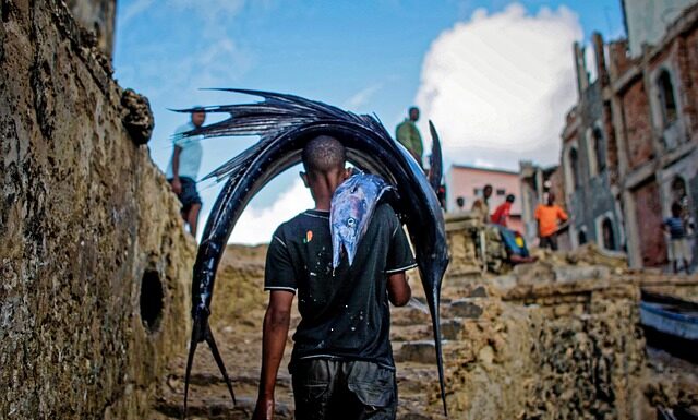 Czym uzupełnić ubytki w schodach lastryko? Czym uzupełnić ubytki w schodach lastryko?