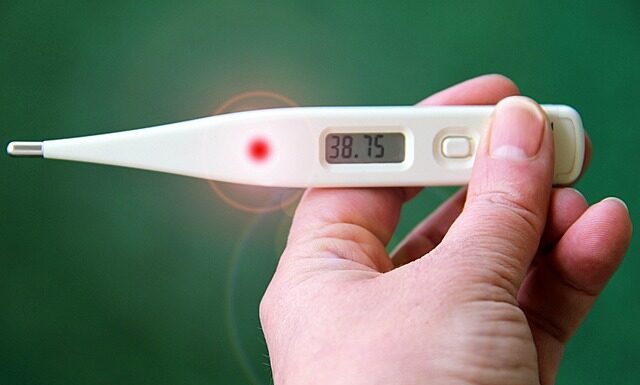 Ile waży stopień dębowy?