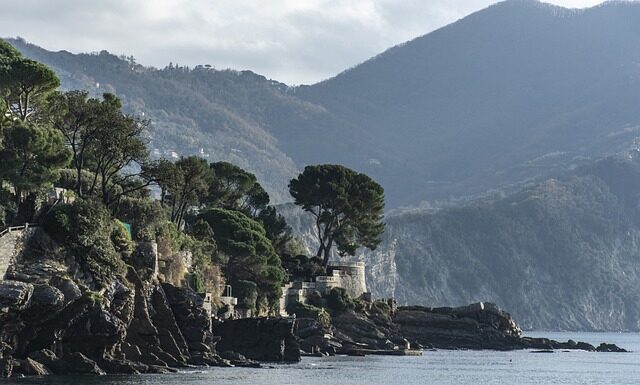 Ile kosztuje wymiana rolki napinacza?