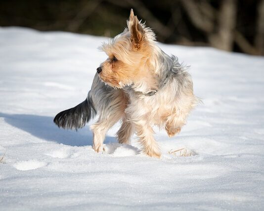 Ile powinien wystawać nosek stopnia?