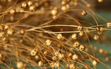 Jak położyć linoleum na schody?